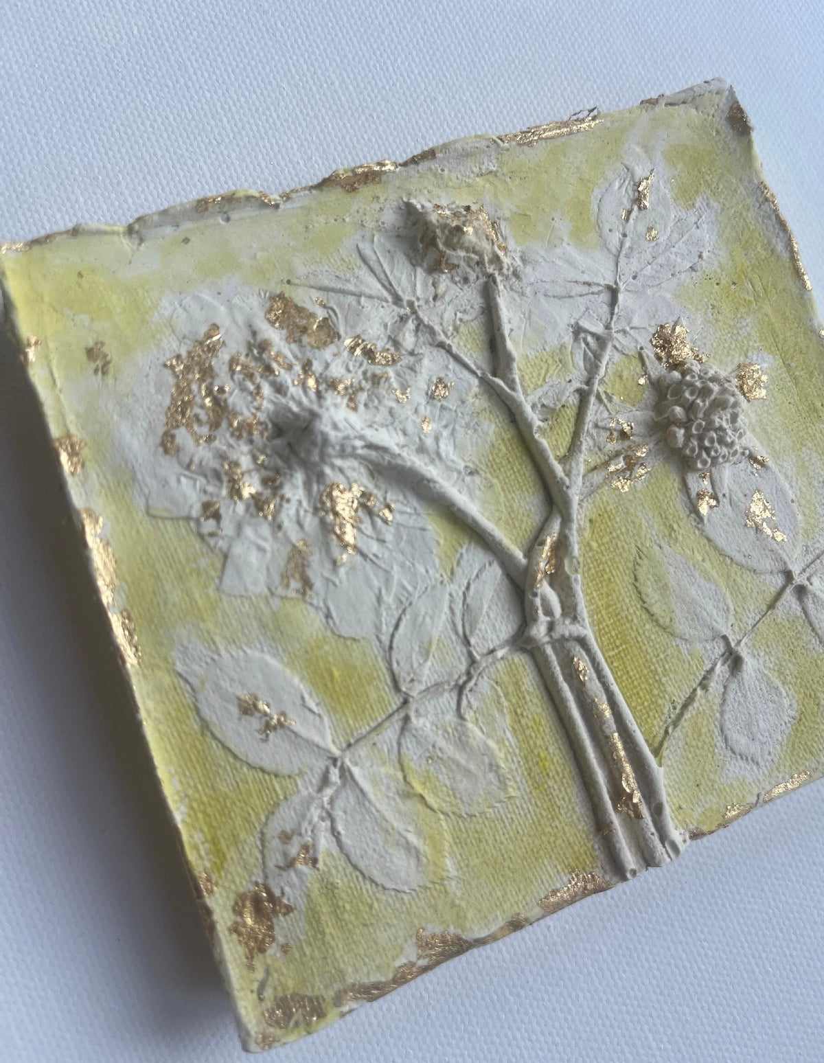 Delta Plaster Botanicals on Canvas